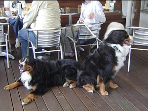 e0057248_11234775.jpg