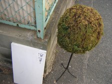 c0081552_1657642.jpg