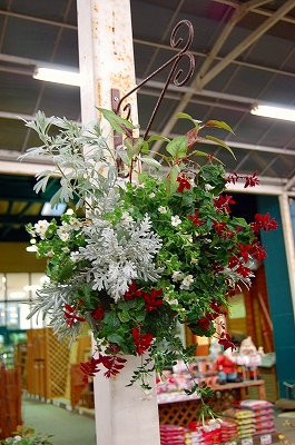 e0025655_628051.jpg