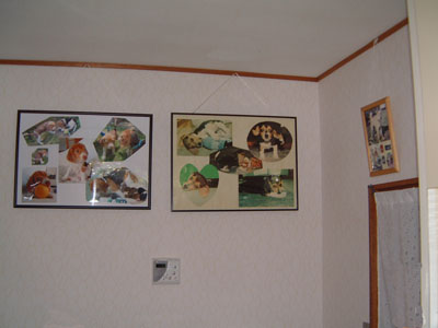 b0045357_4565359.jpg