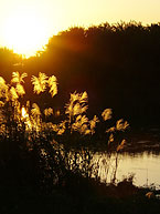 f0072560_14574563.jpg