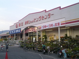 b0095061_8331052.jpg