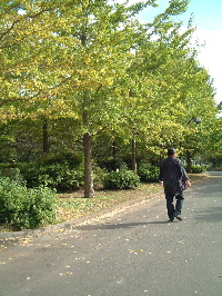 e0016164_2145436.jpg
