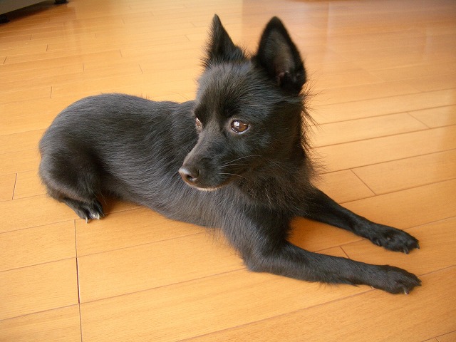 e0002466_15362577.jpg