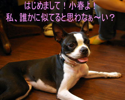 c0032567_0315315.jpg