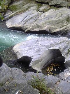 e0033569_22121820.jpg