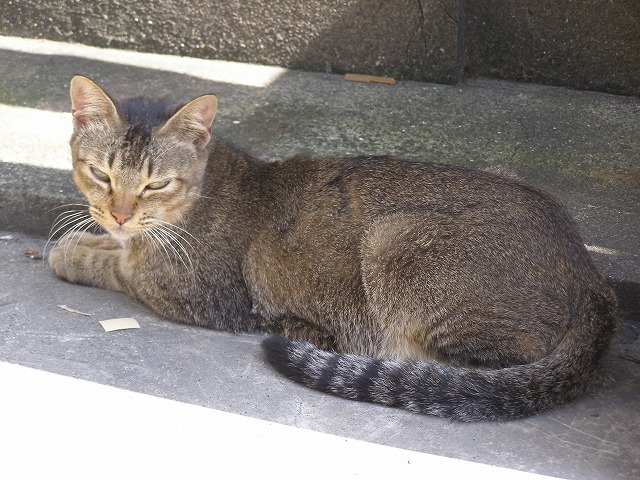 e0078069_836375.jpg