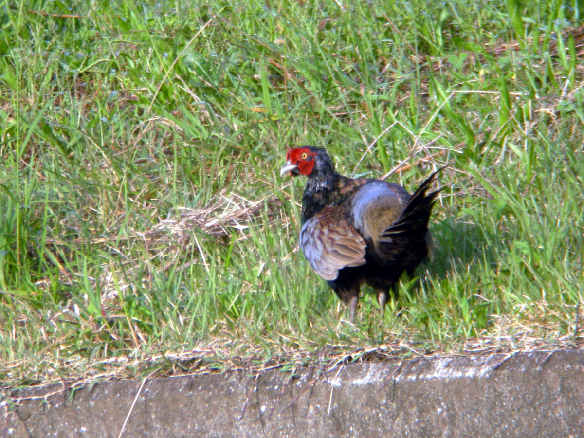 a0053771_1855467.jpg