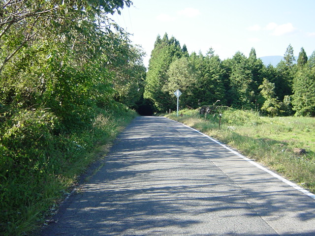 f0043774_19121060.jpg