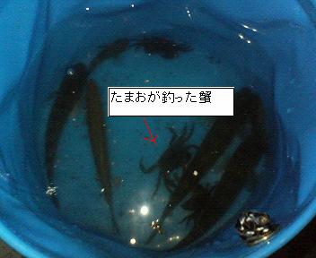 a0047175_1015281.jpg