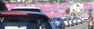 d0064175_21112515.jpg
