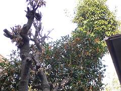 f0001378_22312596.jpg