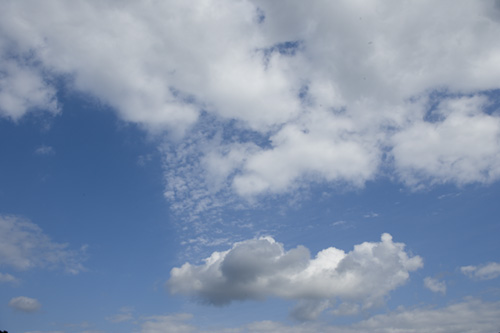 d0089281_8153269.jpg