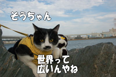 b0041182_203111.jpg
