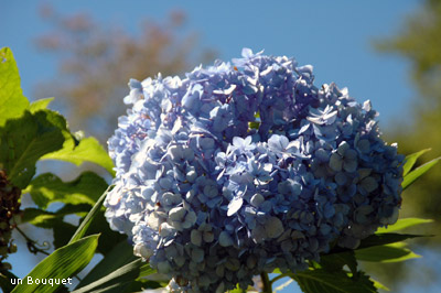 c0051385_013382.jpg