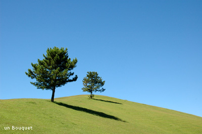 c0051385_0134753.jpg