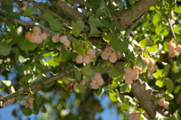 c0051385_0214652.jpg