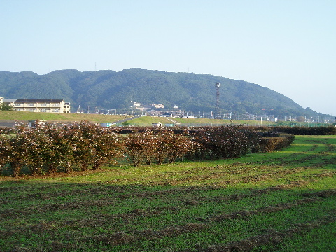 a0089288_10424324.jpg