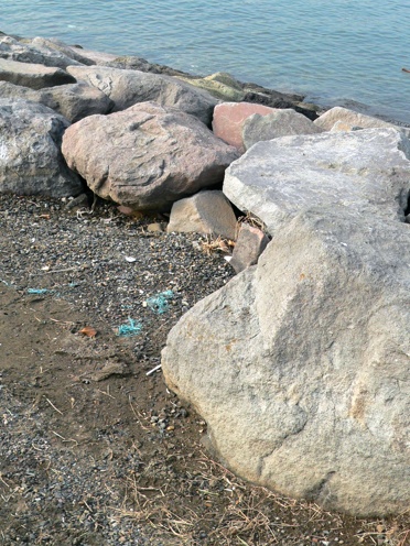 f0038892_114290.jpg