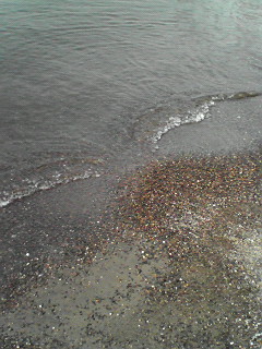 f0038892_119345.jpg
