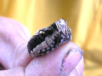e0083097_23395085.jpg
