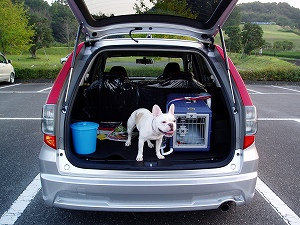 e0066099_237815.jpg