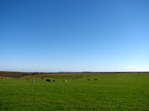 f0020302_1232386.jpg