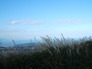 a0032405_1135329.jpg