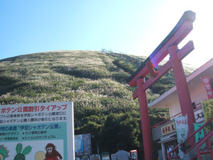 a0032405_181994.jpg