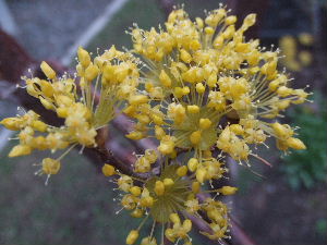 f0041606_21293330.jpg