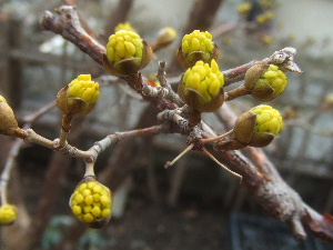 f0041606_2137296.jpg