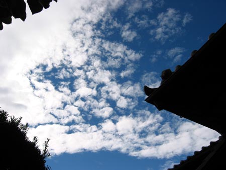 a0041508_2315859.jpg