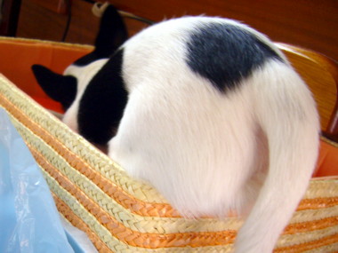 e0032508_20132091.jpg