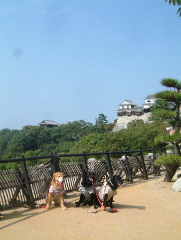 c0017311_13424144.jpg