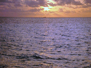 a0055913_22413561.gif