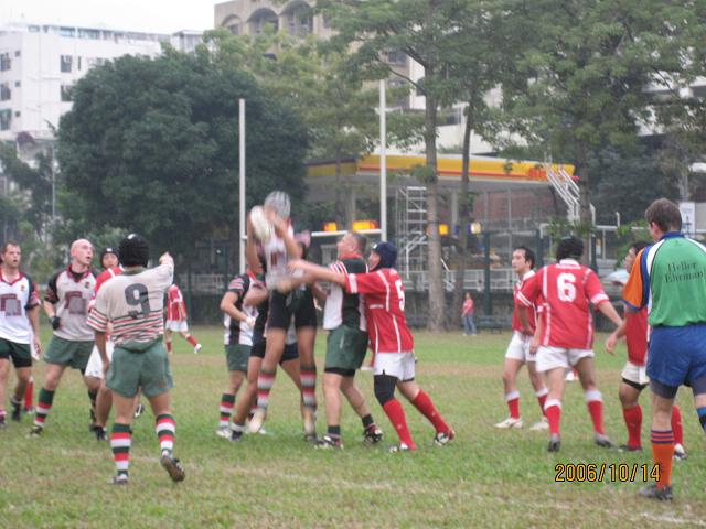 c0002615_0545384.jpg