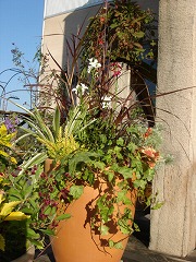 f0054421_12442240.jpg