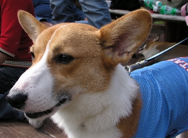 e0071225_1672037.jpg