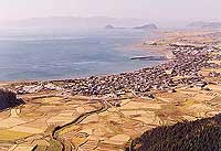 e0006429_1712134.jpg