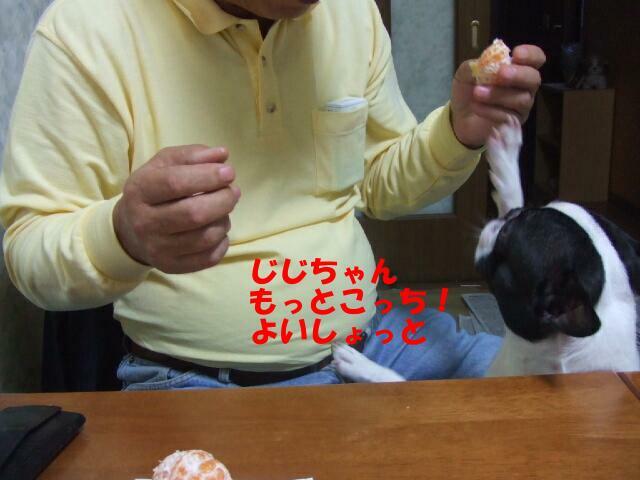 f0059334_9591531.jpg