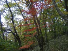 a0005436_21591162.jpg