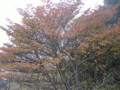 a0005436_2159319.jpg