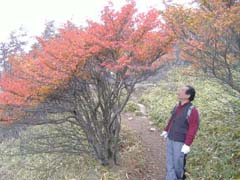 a0005436_2203659.jpg