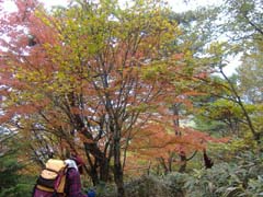 a0005436_2205020.jpg