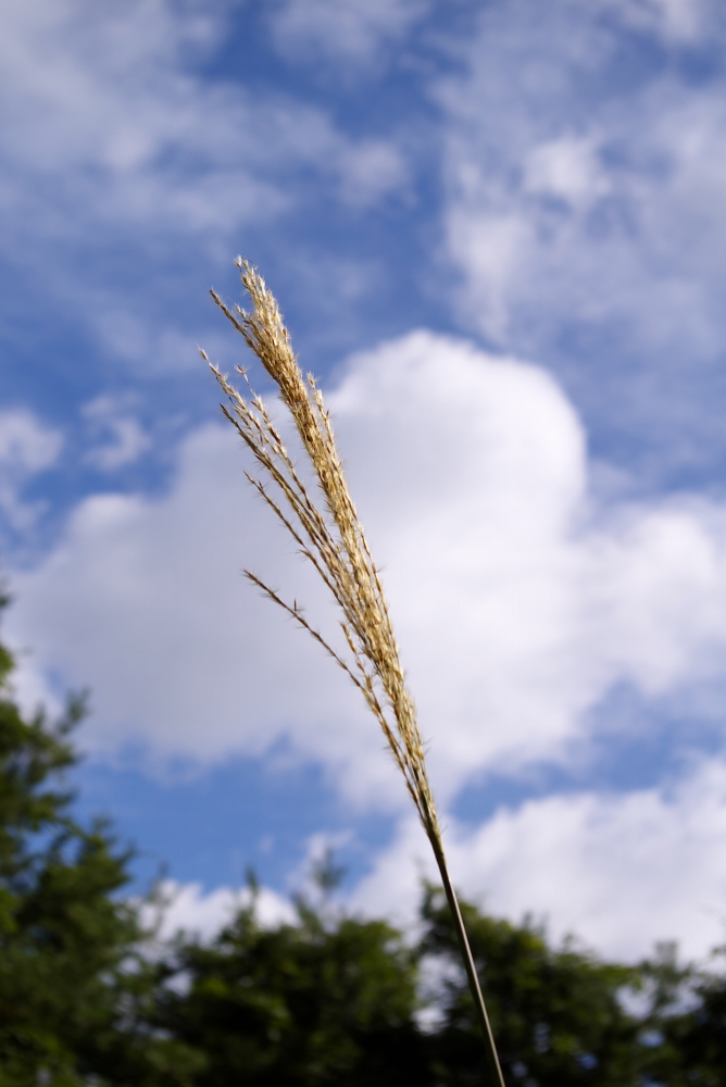 a0034438_1456016.jpg