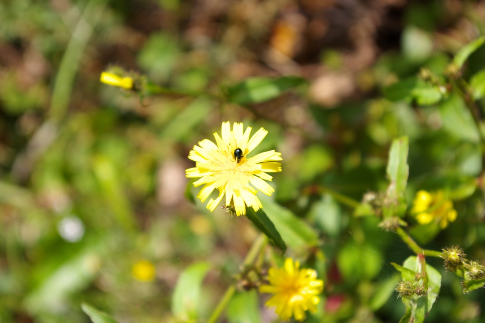 a0034438_14561591.jpg