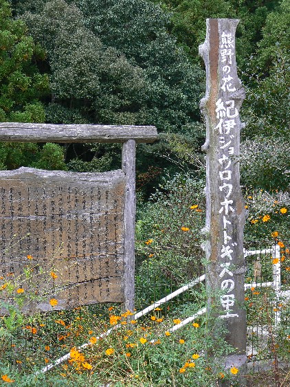 e0083238_21454596.jpg
