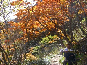 b0082242_10364888.jpg