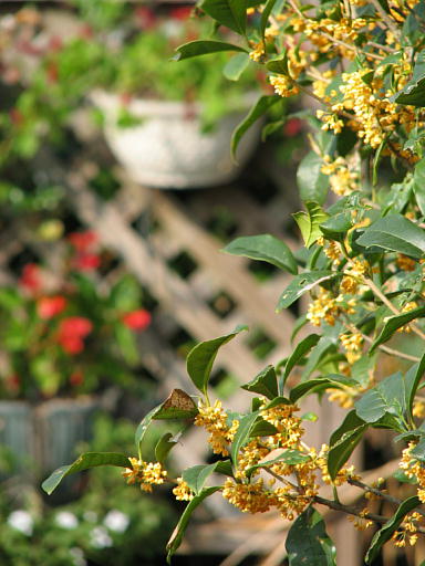 b0016043_2321247.jpg