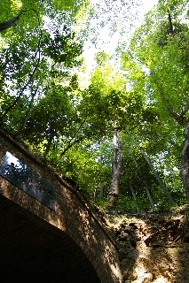 f0094045_207151.jpg